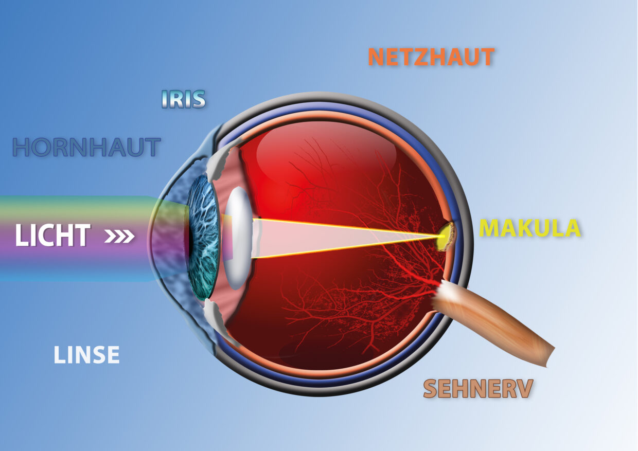 Beispiel-Grafik für den Augen-Arzt
